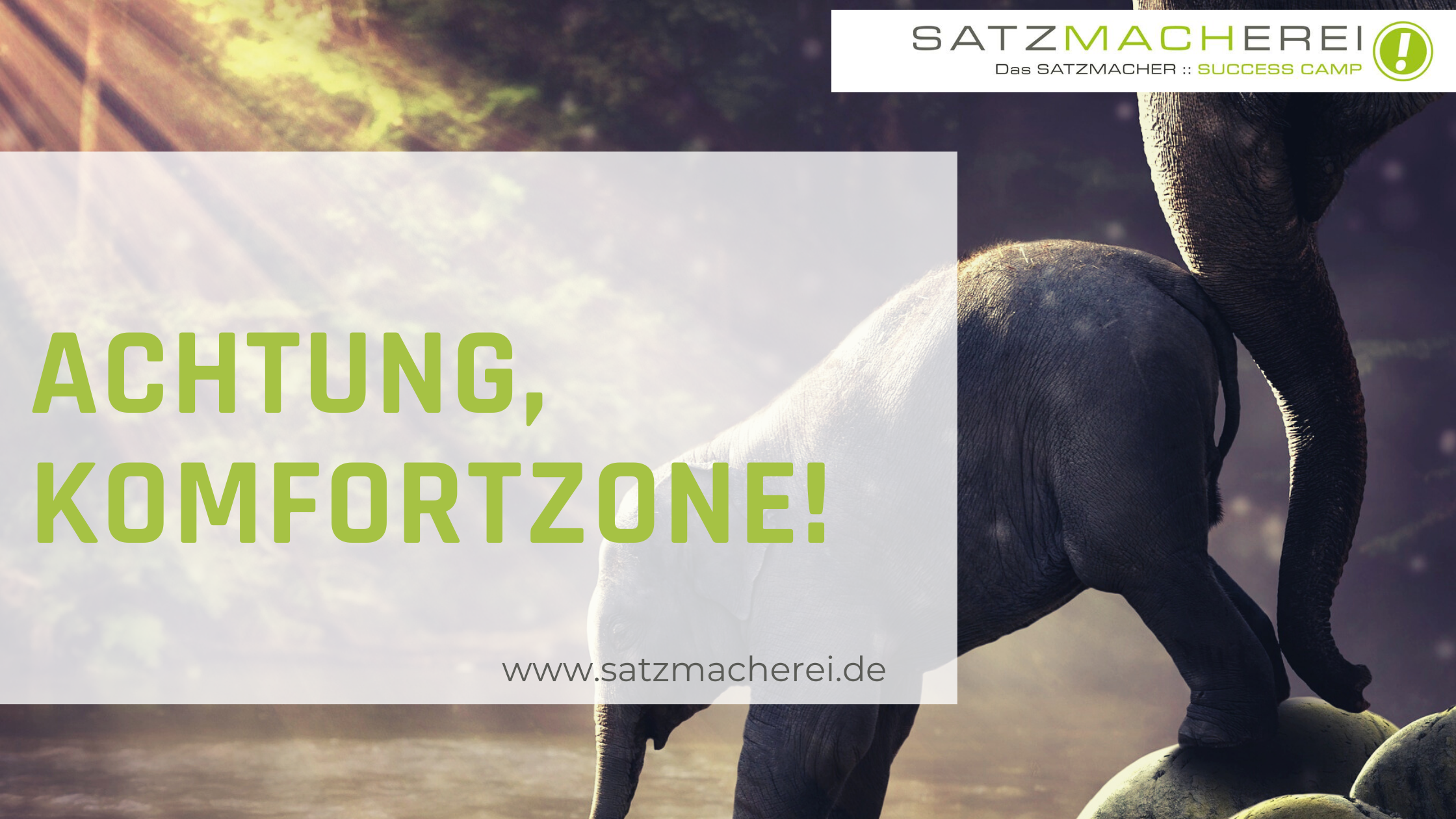 Komfortzone besser texten, Schreibkurs online