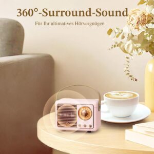 Bluetooth Lautsprecher Retro Rosa Geschenk für Selbstständige Home Office Büro Agentur